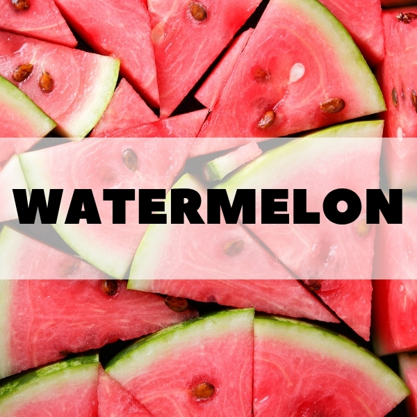 Concentrado Watermelon